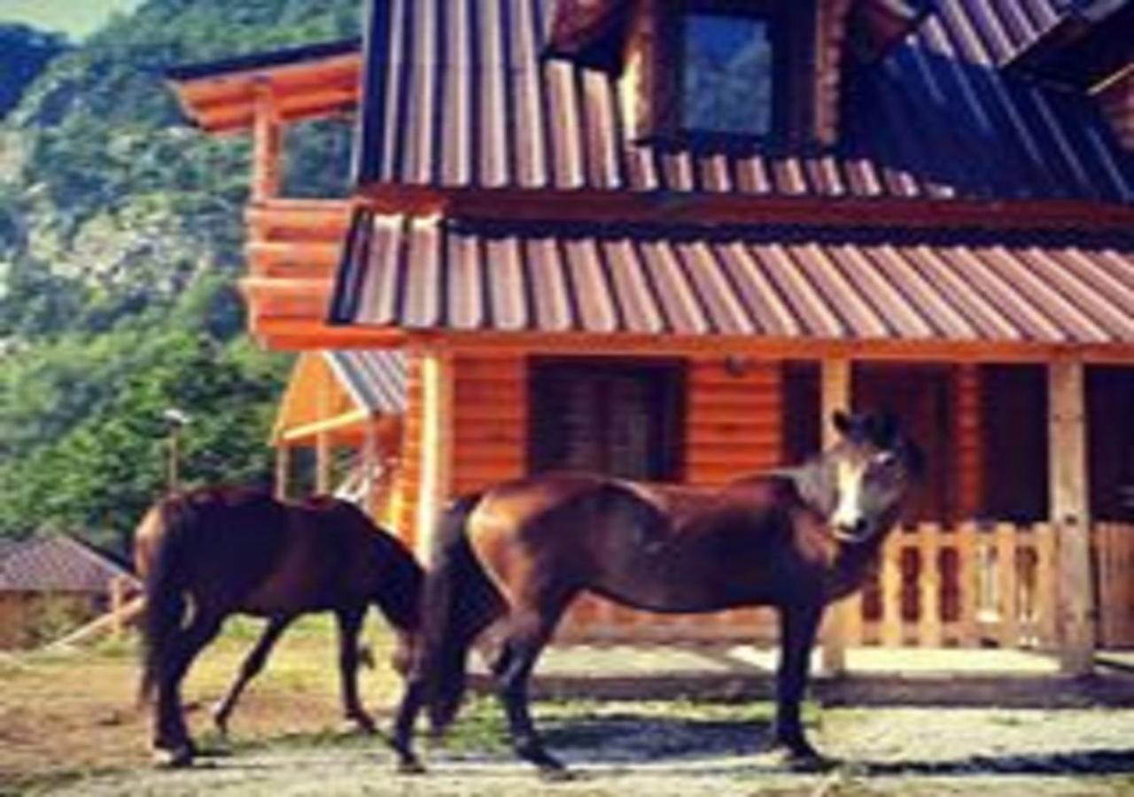 Thethi Paradise Hotel & Restaurant Exterior foto